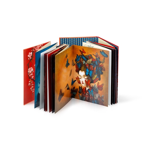edelvives_libro carmen tripode